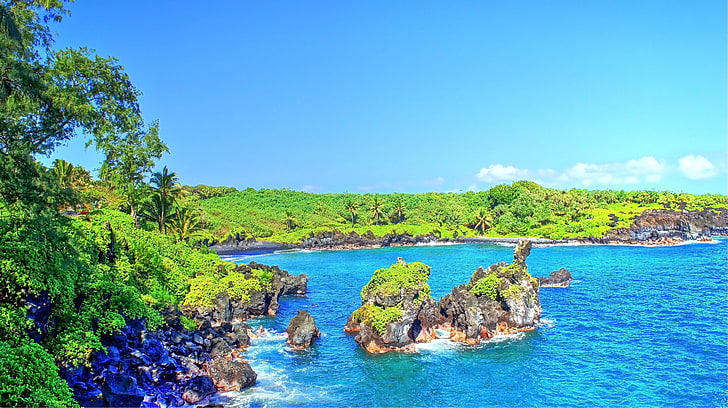 tropical water tropical forest hawaii isle of maui maui palm trees beach waterfall, HD wallpaper