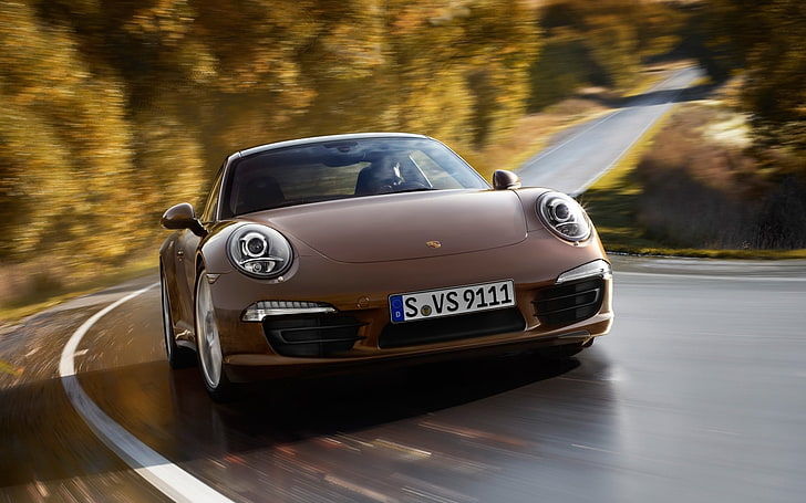 road, trees, coupe, 911, Porsche, supercar, brown, the front, carerra, carrera 4, Please, HD wallpaper