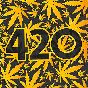 420, ganja, ganja, gulma, Wallpaper HD HD wallpaper