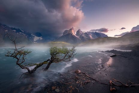 montagnes, lac, arbre, Chili, Patagonie, Lac Pehoe, Parc National Torres del Paine, Torres del Paine, Cordillera Paine, Fond d'écran HD HD wallpaper