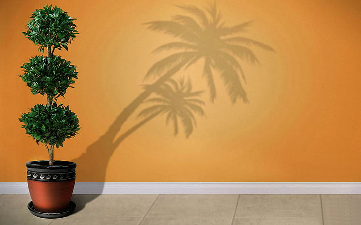 Bush shadowing a palm, green leafed potted plant, digital art, 1920x1200, palm, shadow, bush, HD wallpaper