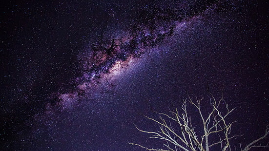 Galaxy Stars Milky Way Night Branches HD、灰色の枝の木、宇宙、夜、星、銀河、道、天の川、枝、 HDデスクトップの壁紙 HD wallpaper
