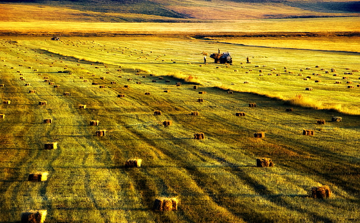 Armenia, Arpi Lake, farm and hays, Nature, Landscape, Field, Straw, armenia, HD wallpaper