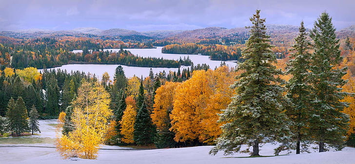 landscape photo of brown and green leaf trees, First Snow, landscape, photo, brown, green leaf, trees, Canada, Christmas, Fall color, des, outdoor, serene, upper, Laurentians, water, nature, forest, tree, scenics, autumn, outdoors, mountain, beauty In Nature, woodland, sky, travel, season, blue, HD wallpaper