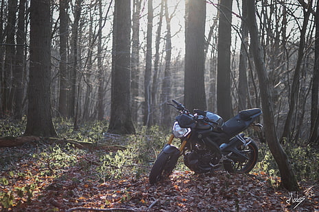 Ямаха, дълбочина на полето, мотоциклет, HD тапет HD wallpaper