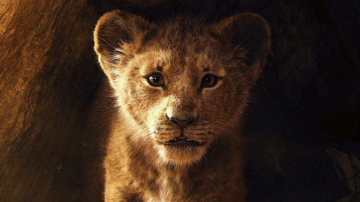 The Lion King 2019 5K, Roi, Lion, Le, 2019, Fond d'écran HD
