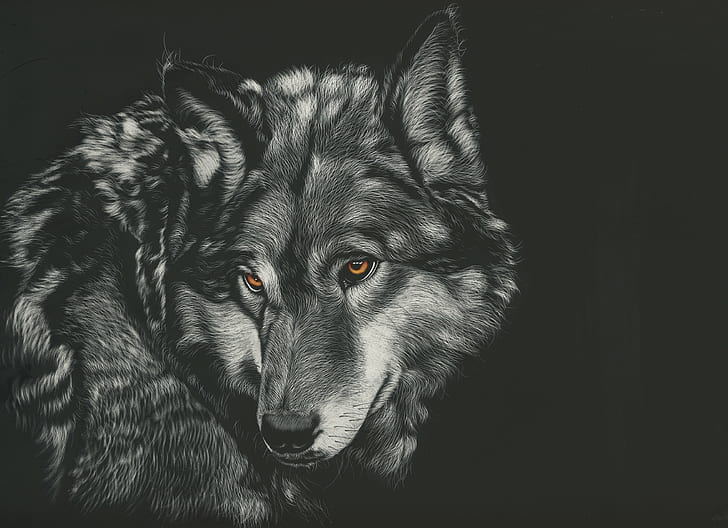 wolf, painting, animals, 4k, hd, monochrome, black and white, HD wallpaper