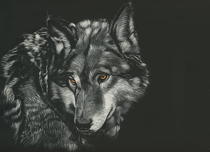 オオカミ、絵画、動物、4 k、hd、モノクロ、黒と白、 HDデスクトップの壁紙 HD wallpaper