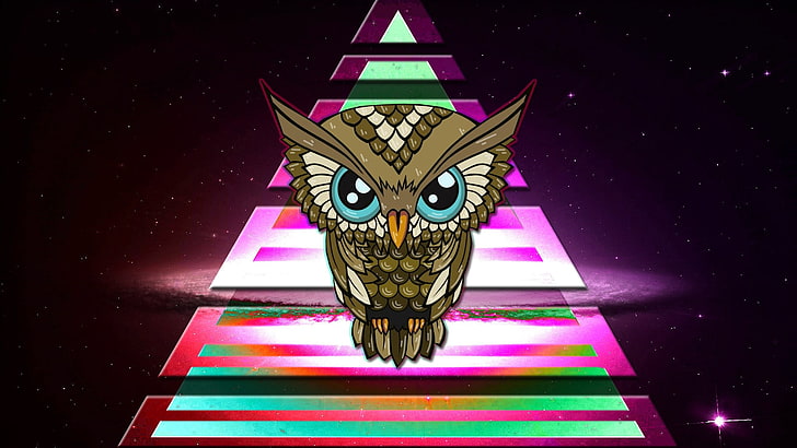 braune Eule Abbildung, Eule, Dreieck, bunt, Raum, Illuminati, HD-Hintergrundbild