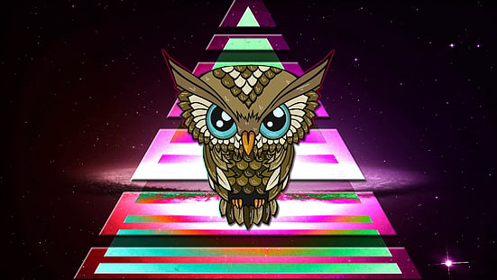 ilustracja brązowa sowa, sowa, trójkąt, kolorowy, przestrzeń, Illuminati, Tapety HD HD wallpaper