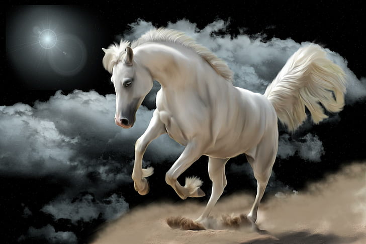Cavalo Branco, branco, cavalo, nuvens, fantasia, animais, HD papel de parede