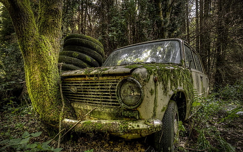 classic gray sedan, gray car, nature, trees, forest, leaves, car, LADA, Russian cars, old car, wreck, moss, tyres, branch, rust, HDR, abandoned, HD wallpaper HD wallpaper