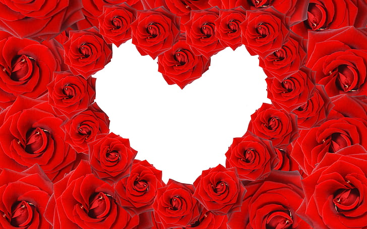Roses &amp;amp;amp; Love Hearts HD wallpapers free download |  Wallpaperbetter
