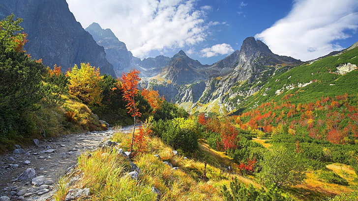 หญ้าสีเขียวและสีเหลือง, ทางเดินสีเทาระหว่างทุ่งหญ้าสีเขียวใกล้ภูเขา, ธรรมชาติ, ภูมิทัศน์, ต้นไม้, ป่า, สโลวาเกีย, เทือกเขา Tatra, หิน, เส้นทาง, ตก, เมฆ, หญ้า, วอลล์เปเปอร์ HD