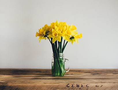 Narciso amarillo flores en tarro de cristal transparente en la superficie de madera marrón, narcisos, ramo, florero, Fondo de pantalla HD HD wallpaper