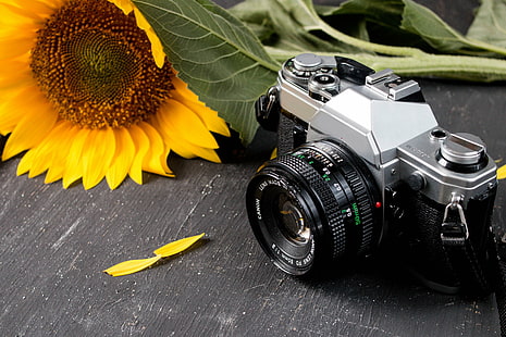 black and silver camera near sunflower on table photo, sunflower, Retro, camera, sunflower, black, silver, table, photo, sunny, old  people, fashion, vintage, background, film, closeup, Summer  man, nature  photographer, beautiful, stylish, technology, Photography, beauty, hobby, lifestyle, style, Person, lens, Linse, Natur, Sommer, outdoors, Technologie, leaf, Blatt, zoom, equipment, flower, Blume, camera - Photographic Equipment, photography Themes, lens - Optical Instrument, photograph, retro Styled, old-fashioned, old, HD wallpaper HD wallpaper