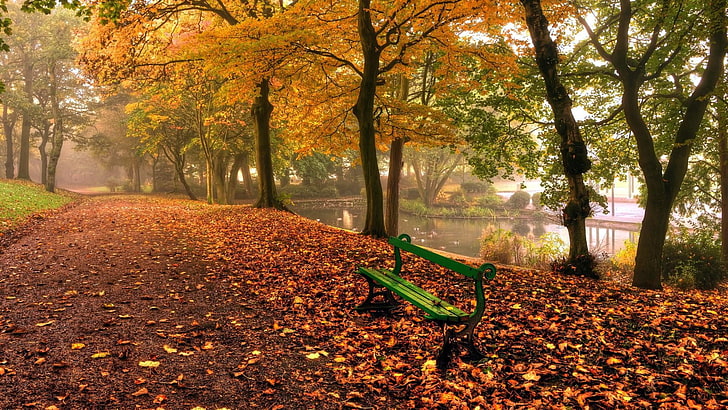 autumn, patterson park, leaves, seat, bench, park, united states, baltimore, HD wallpaper