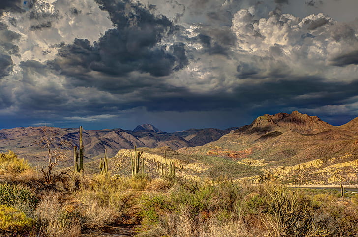cloud, arid, clouds, formation, cactus, dark, daylight, HD wallpaper