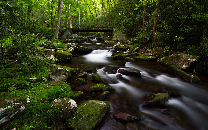 Małe górskie koryto rzeki ze skałami i kamieniami zielony mech-las drewno-Desktop HD Wallpaper-2560 × 1600, Tapety HD