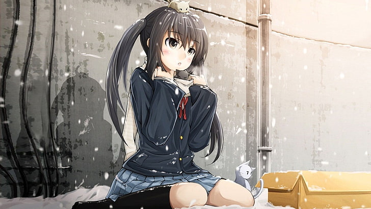 черные волосы девушка аниме персонаж иллюстрации, K-ON !, Накано Азуса, аниме девушки, снег, котята, школьная форма, аниме, кошка, школьница, HD обои