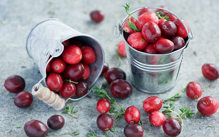Cranberries Berries Red Buckets, zwei Eimer ovale rote Früchte, Cranberries, Beeren, Eimer, HD-Hintergrundbild