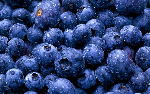 frukt, blåbär, våt, makro, mat, HD tapet HD wallpaper