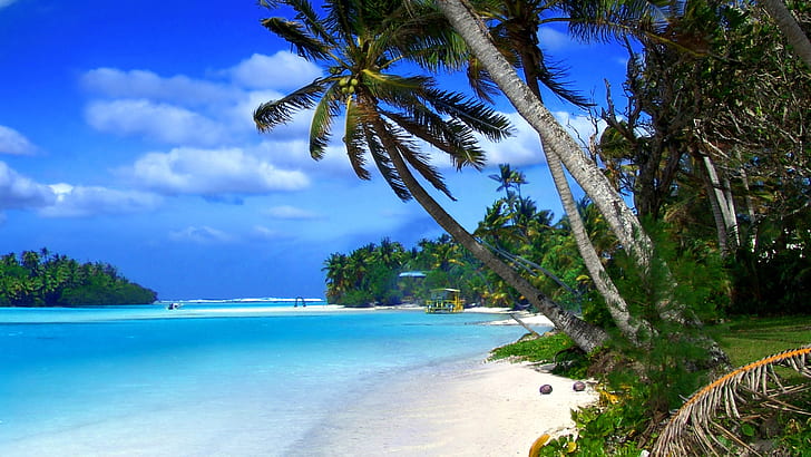 Cayman Adaları plaj tropikal peyzaj, okyanus mavisi su ve yeşil palmiye ağaçları, HD masaüstü duvar kağıdı