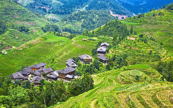 Longji Terraces, rice fields, Guilin, China, Longji, Terraces, Rice, Fields, Guilin, China, HD wallpaper