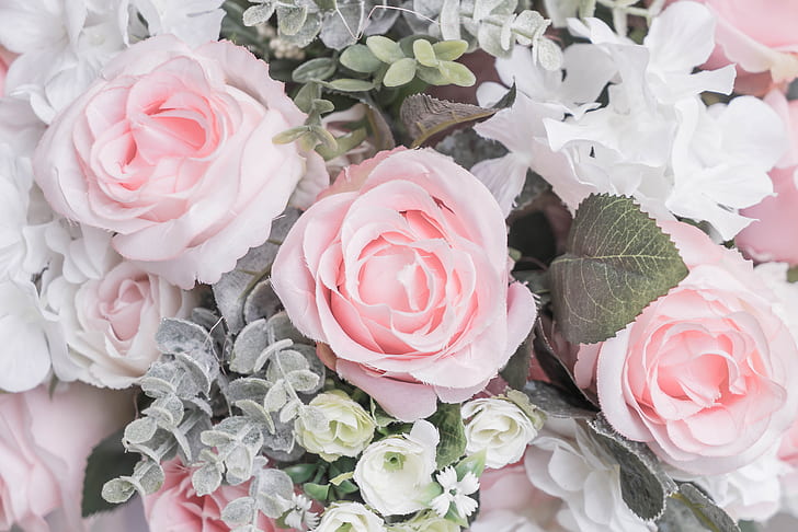 Flores, rosas, colores pastel, pastel, colores pálidos, Fondo de pantalla  HD | Wallpaperbetter