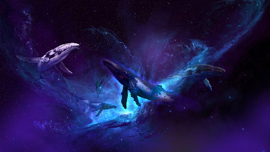 الكون ، الحوت، خلفية HD HD wallpaper
