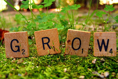 four brown scrable tiles, Grow, brown, tiles, Scrabble, Words, Word, Letter, Letters, Nature, Plants, Clover, Moss, text, single Word, wood - Material, alphabet, HD wallpaper HD wallpaper