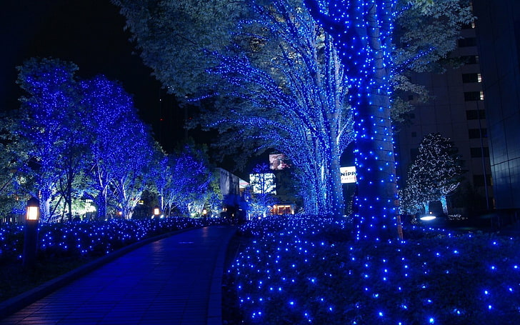 blue LED lights, blue, lights, night, cityscape, trees, HD wallpaper
