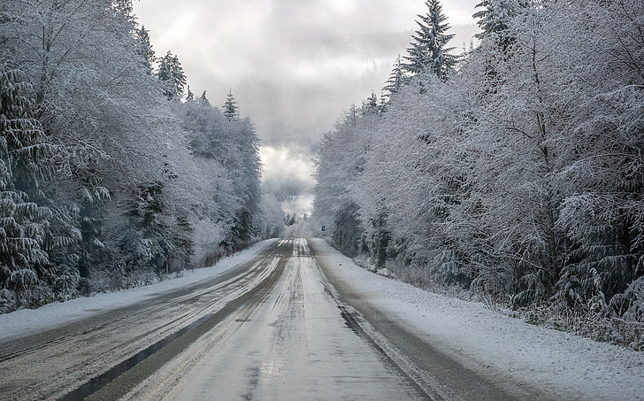 зима, лед, снег, дорога, деревья, HD обои