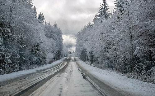 зима, лед, снег, дорога, деревья, HD обои HD wallpaper