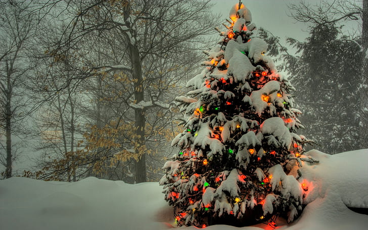 New Year, snow, christmas lights, pine trees, winter, HD wallpaper