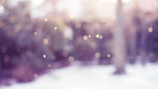 фотография на боке на дървета, замъглено, зима, боке, кръг, светлини, сняг, HD тапет HD wallpaper