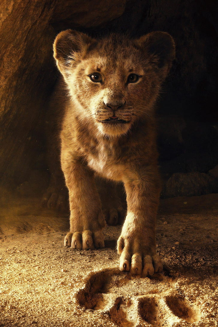 Poster Film The Lion King 2019, Wallpaper HD, wallpaper seluler