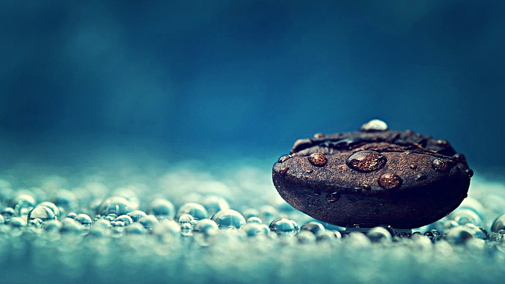 coffee bean, macro photography of of coffee bean, artwork, macro, photography, closeup, water drops, coffee beans, blue background, depth of field, HD wallpaper