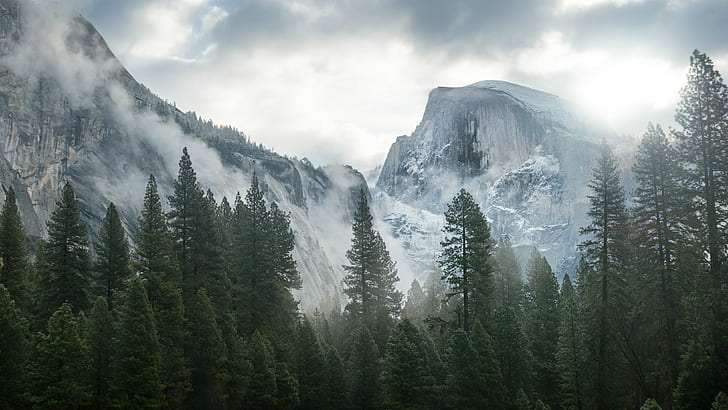 Parco nazionale Yosemite, natura, montagne, alberi, nebbia, Sfondo HD