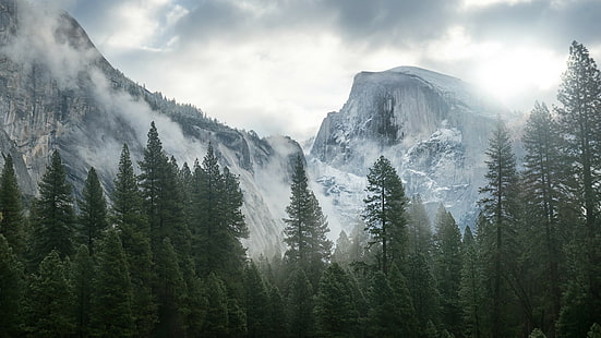 Parc national de Yosemite, nature, montagnes, arbres, brume, Fond d'écran HD HD wallpaper