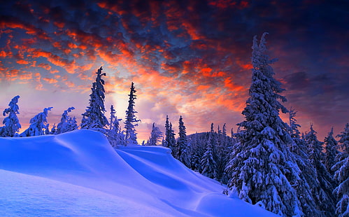 Winter Weihnachten, Berg mit Schnee und Wald digitale Tapete, Jahreszeiten, Winter, Landschaft, Bäume, Weihnachten, Schnee, schneebedeckt, HD-Hintergrundbild HD wallpaper