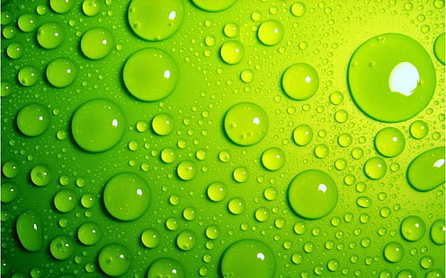 капли воды, макро, капли воды, зеленые, вода, HD обои HD wallpaper