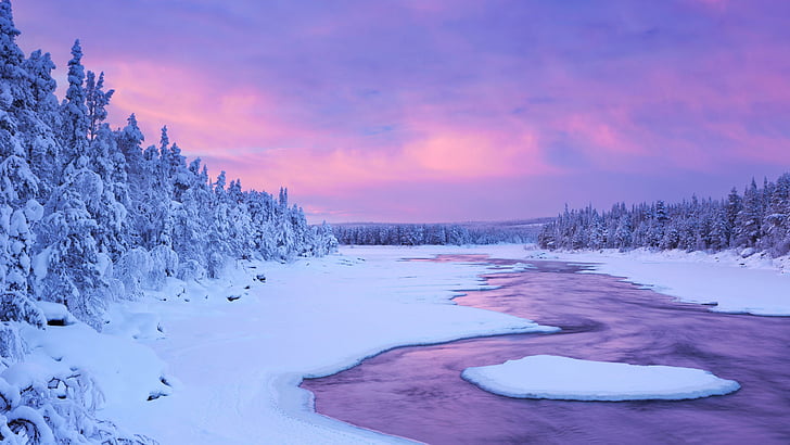 утро, Лапландия, Европа, тундра, Финляндия, дерево, лед, река, вода, зима, фиолетовый, мороз, арктика, замерзание, небо, природа, снег, HD обои