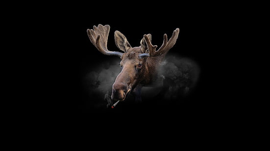 moose smoke cannabis minimalism fur, HD wallpaper HD wallpaper