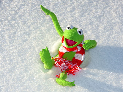 cold, frog, kermit the frog, snow, stuffed toy, winter, HD wallpaper HD wallpaper