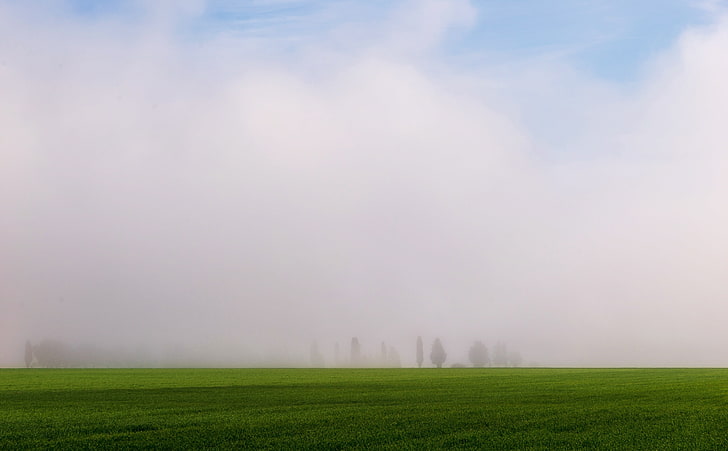 Spring Fog in the Morning, Seasons, Spring, Nature, Landscape, Trees, Perspective, Clouds, bluesky, foginthemorning, HD wallpaper
