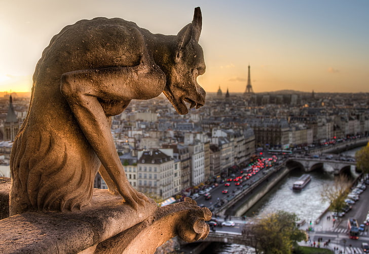 Statua animale marrone, la città, Francia, Parigi, vista, panorama, scultura, Cattedrale di Notre Dame, Notre Dame de Paris, doccione, Sfondo HD