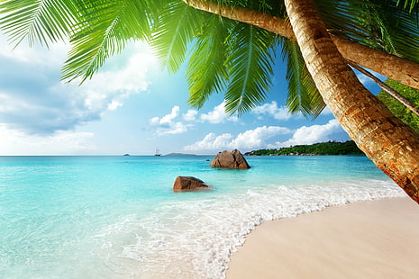 beach, blue, coast, emerald, ocean, palm, paradise, sea, tropical, HD wallpaper HD wallpaper
