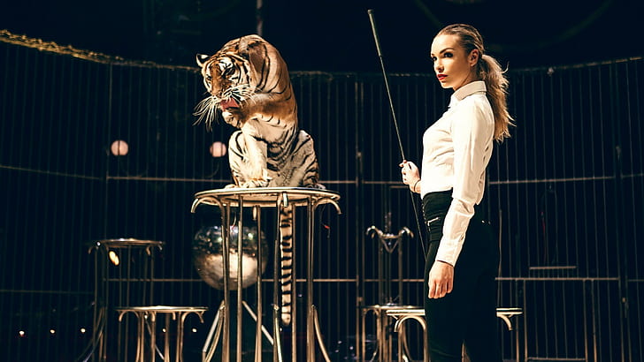 tiger, blonde, whips, red lipstick, looking away, ponytail, tight clothing, shirt, wild cat, long hair, animals, training, women, model, circus, cages, HD wallpaper