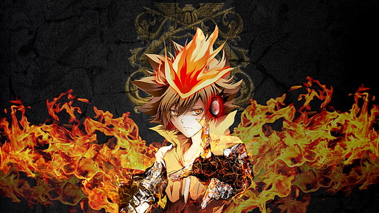 Anime, Katekyō Hitman Reborn !, Feuer, Flamme, Hitman Reborn, Tsunayoshi Sawada, HD-Hintergrundbild HD wallpaper